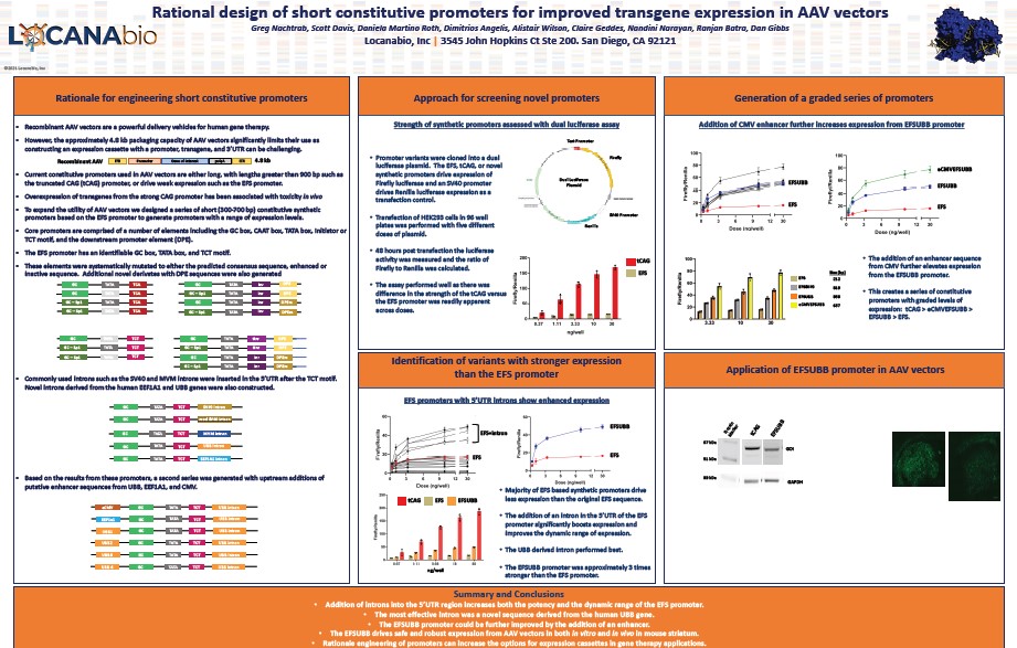 Poster: Rational Design of Short Constitutive Promoters for Improved Transgene Expression in AAV Vectors