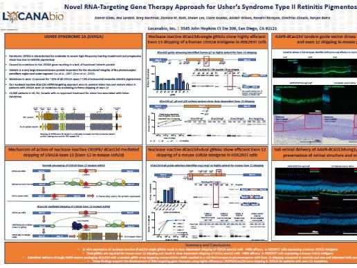 Poster: Novel RNA-Targeting Gene Therapy Approach for Usher’s Syndrome Type II Retinitis Pigmentosa