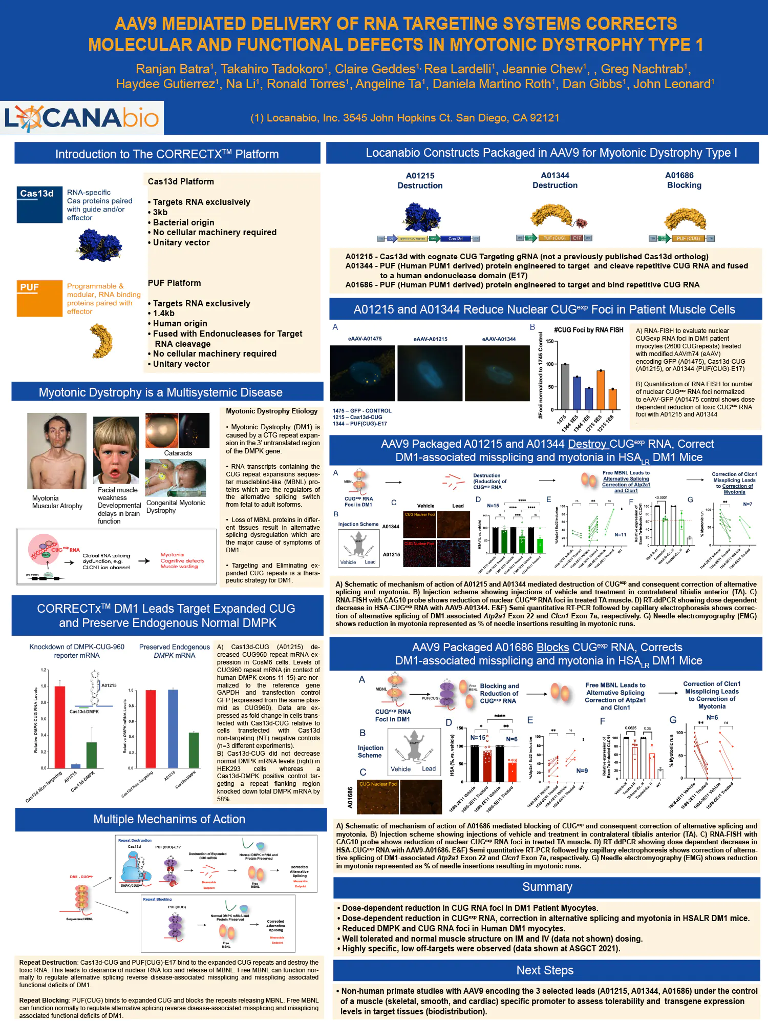 Poster: AAV9 Mediated Delivery of RNA Targeting Systems Corrects Molecular and Functional Defects in Myotonic Dystrophy Type 1